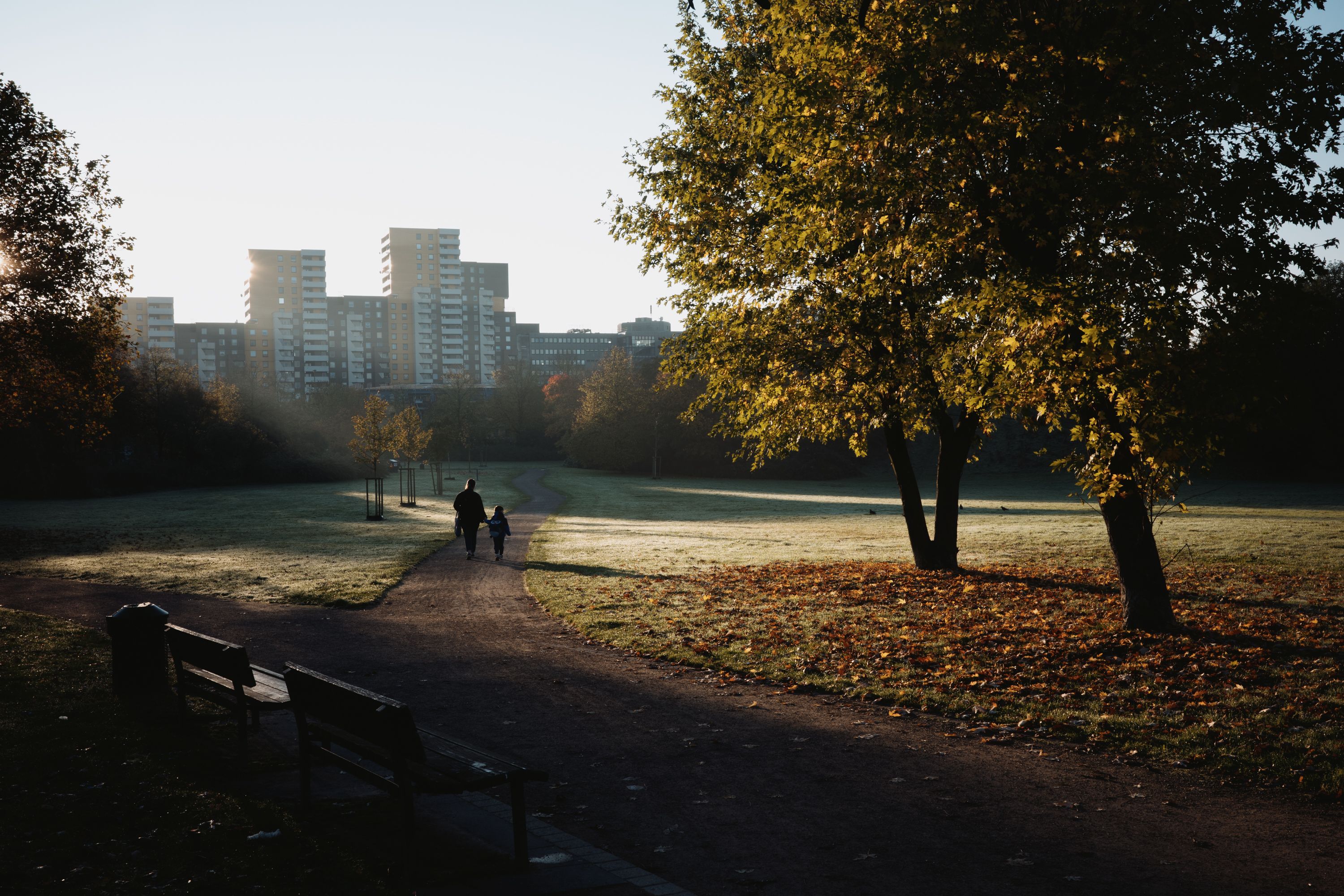 A peaceful morning walk in a park with city skyline in the background. Autumn leaves and sunlight create a serene scene.