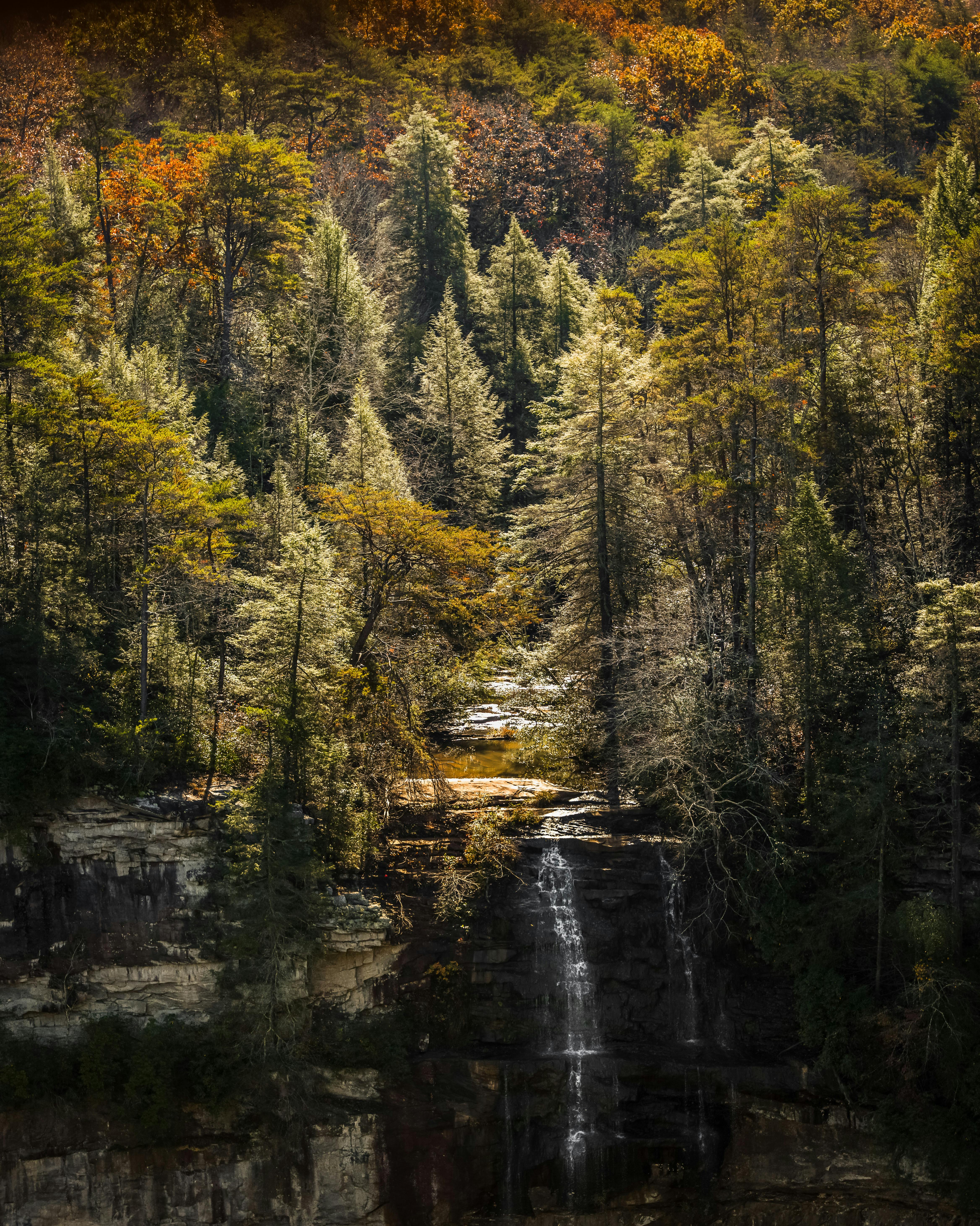 Serene waterfall cascading in a lush forest during autumn.