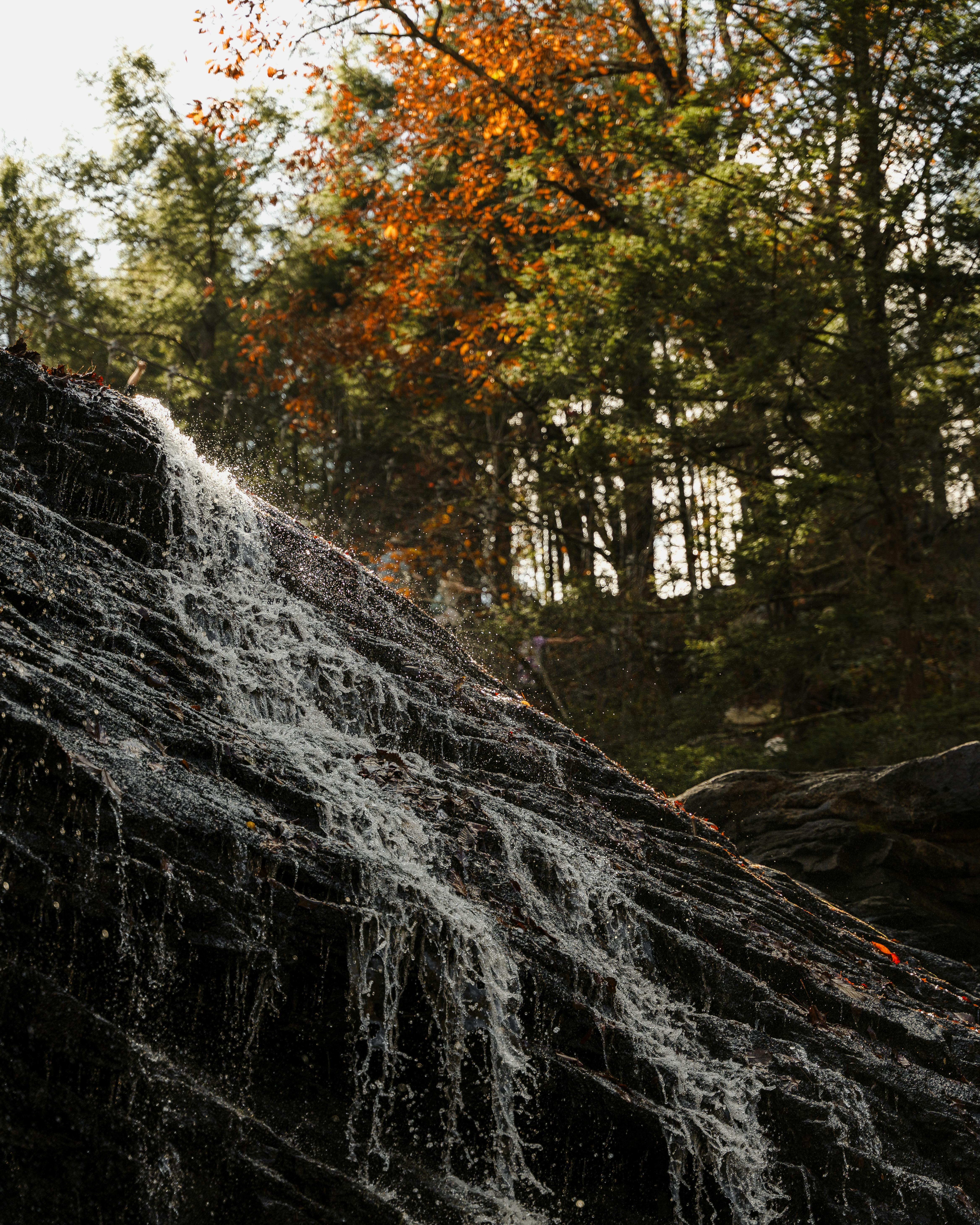 Water cascading over rocks in a forest with autumn leaves.