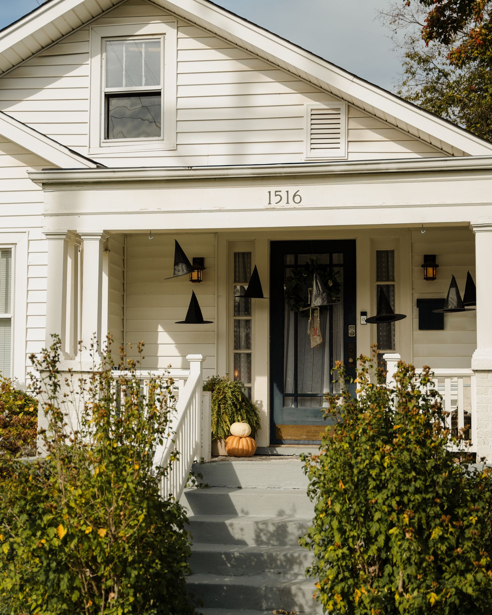 Charming two-story home with autumn porch decorations and a landscaped front lawn, Maplebrook, Naperville IL