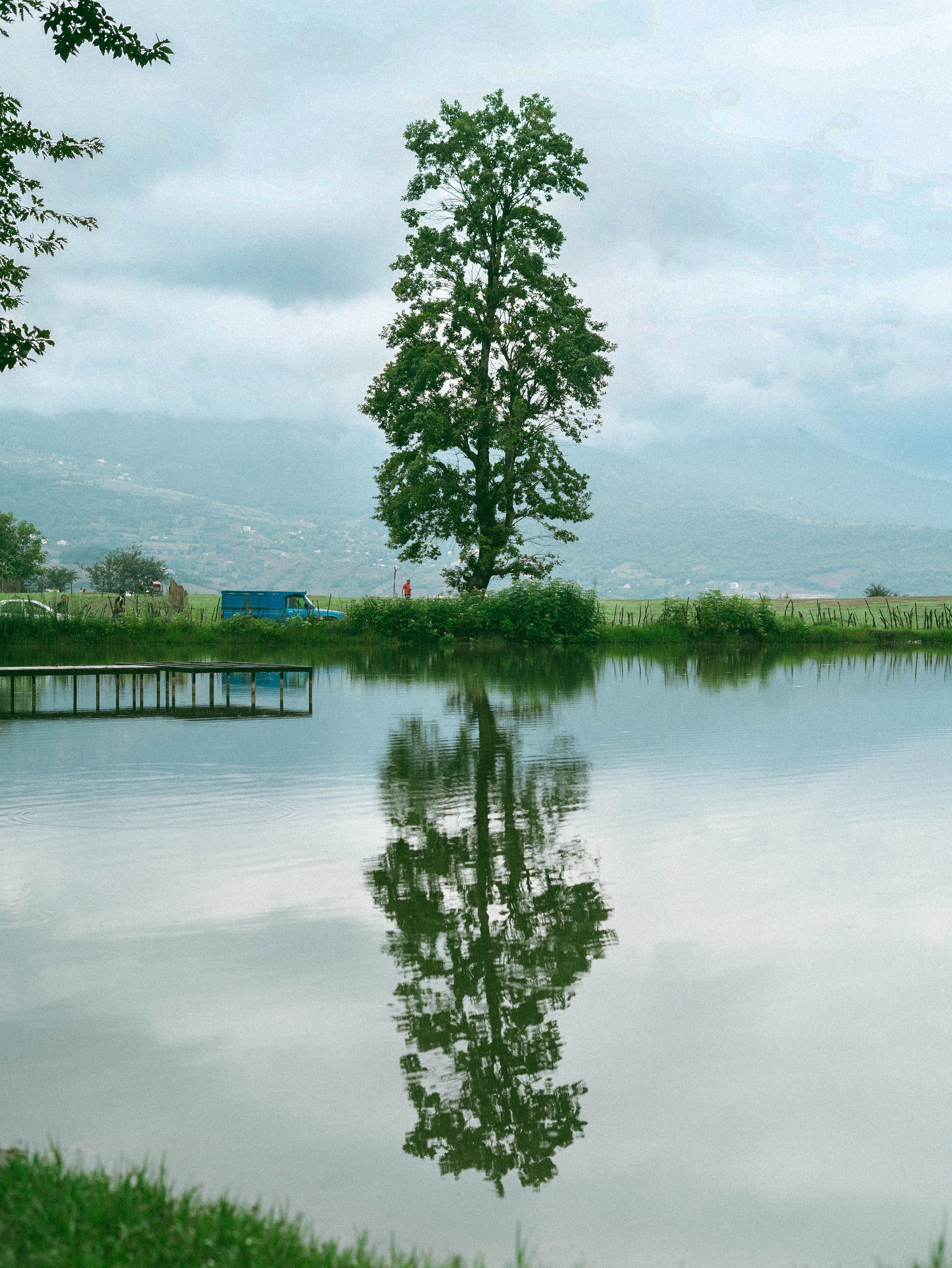 Serene Landscape with Tree Reflection in Lake · Free Stock Photo