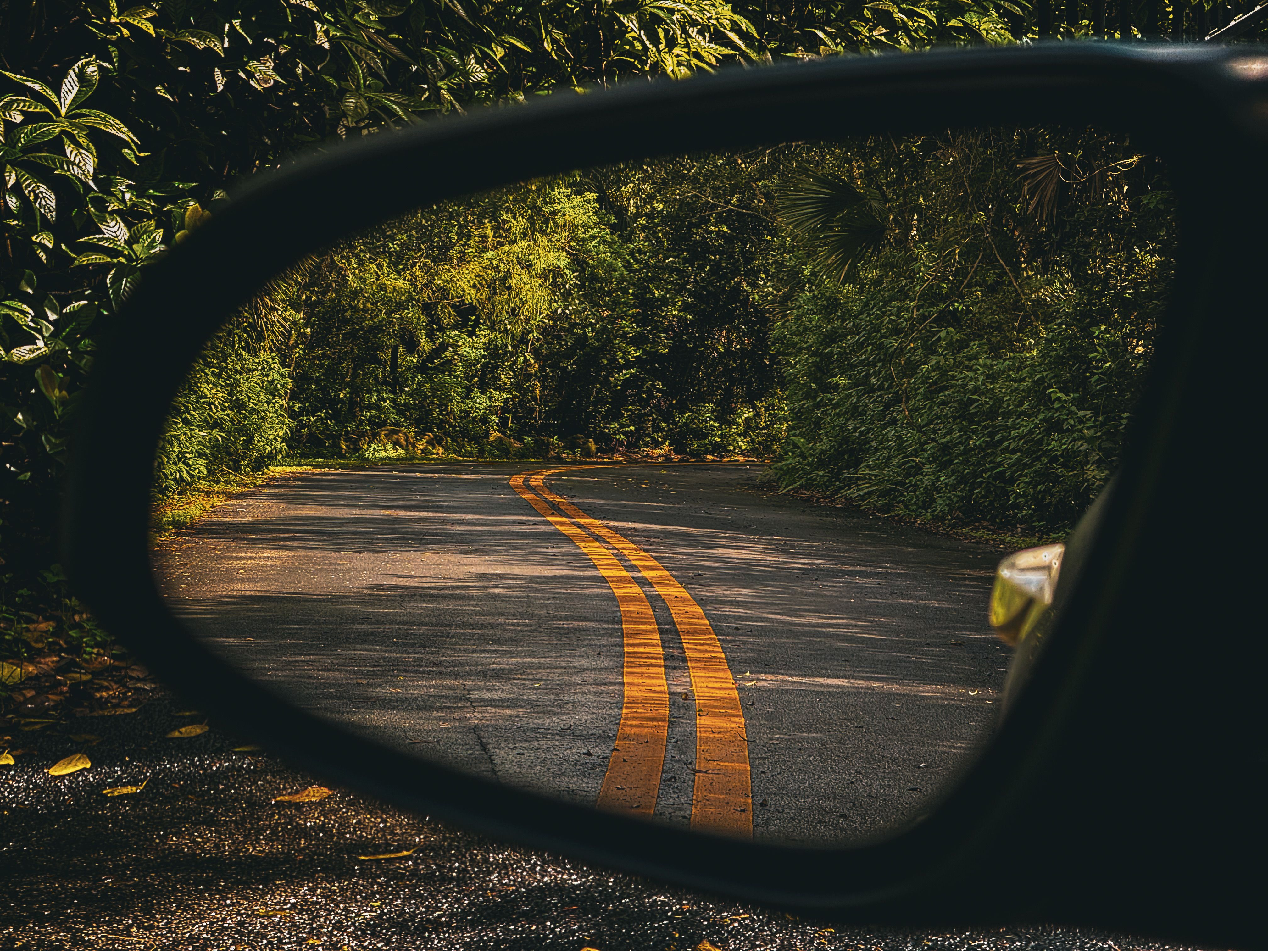 A scenic view of a winding road through lush greenery reflected in a car mirror.