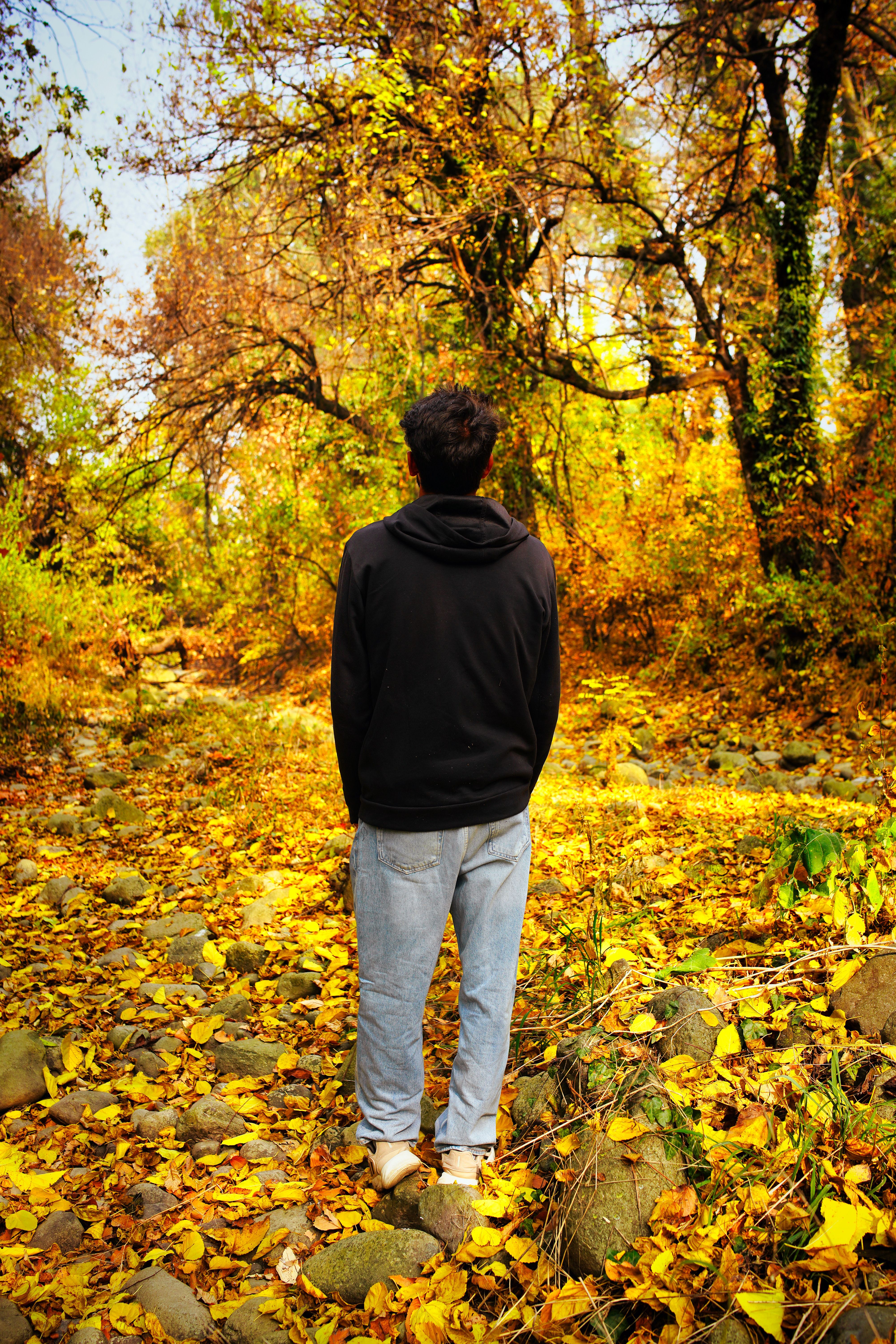 Man Standing in Colorful Autumn Forest Scene · Free Stock Photo