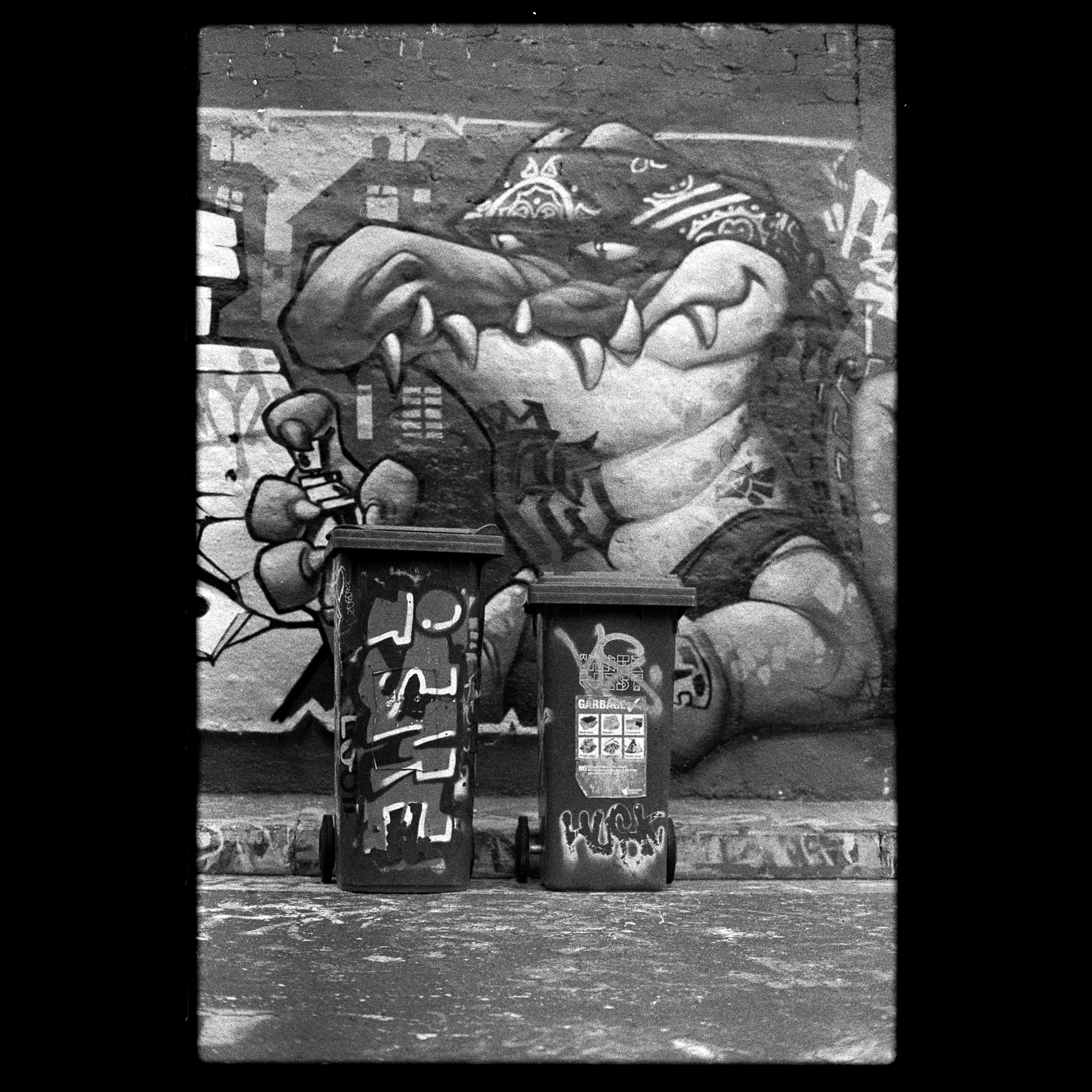 Street art featuring graffiti with trash bins in black and white. Urban vibe.