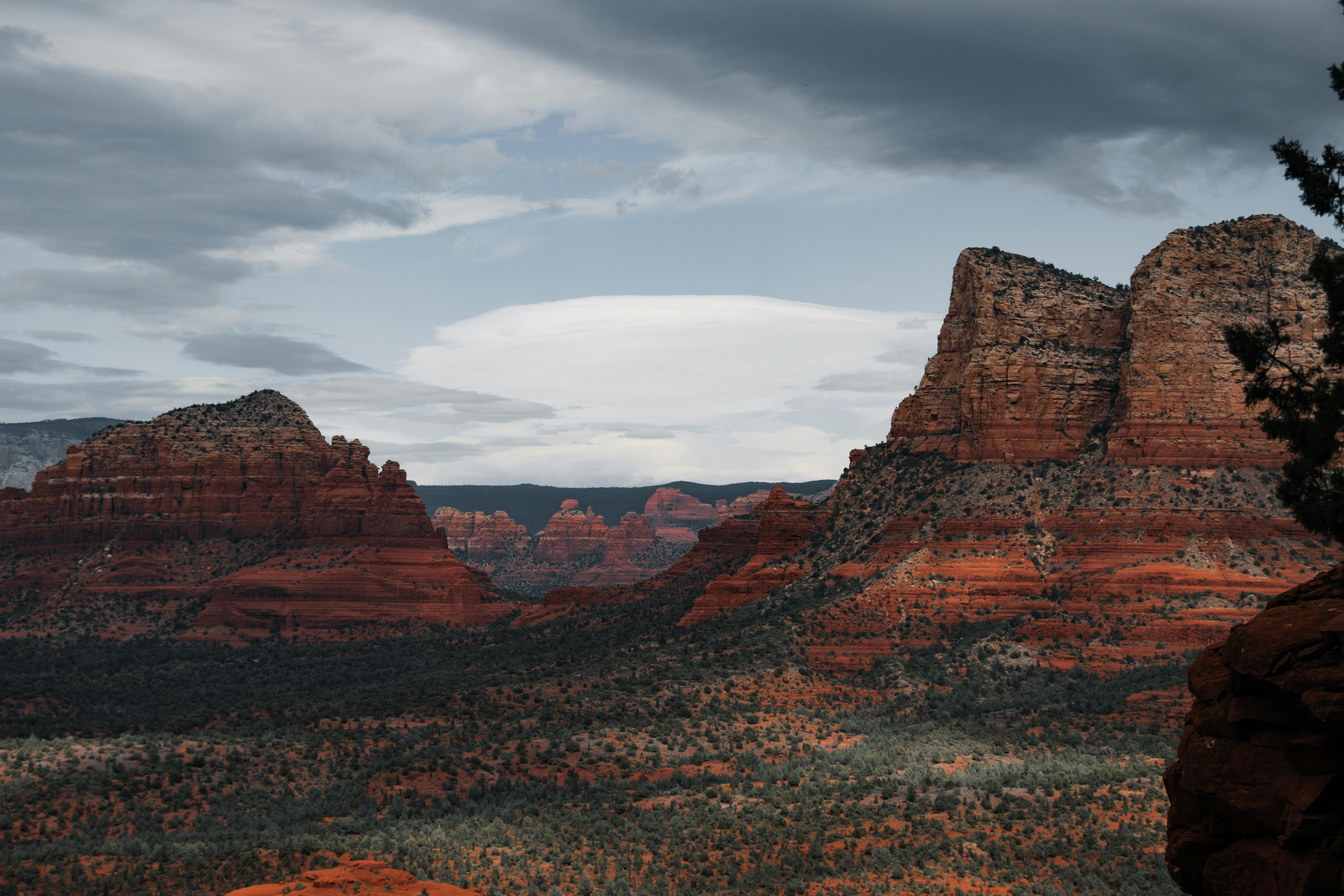 Ranking Arizona: Top 10 personal injury law firms for 2026 — Photo by Jacob Moore on Pexels