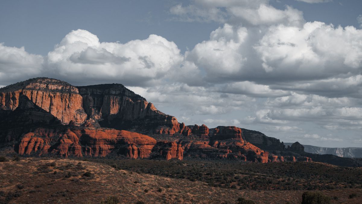 Best Contest Alerts in Mesa, AZ: 2026 Local Guide