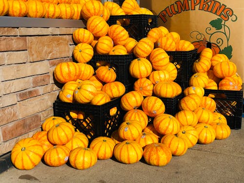 Cooler Fall Weather Boosts Seasonal Produce Availability Across U.S.