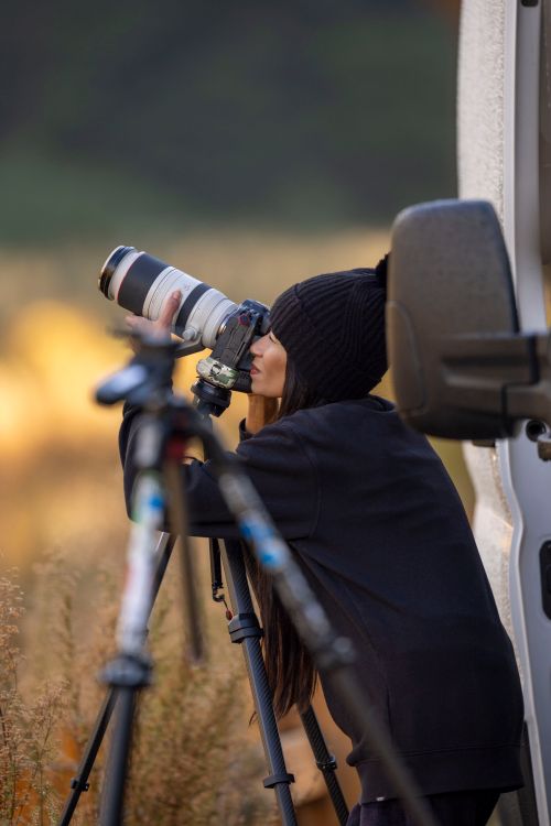 Free Photographer using a telephoto lens outdoors, focusing on wildlife or nature from behind a vehicle. Stock Photo