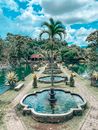 Water Fountains Beside Ponds during Day