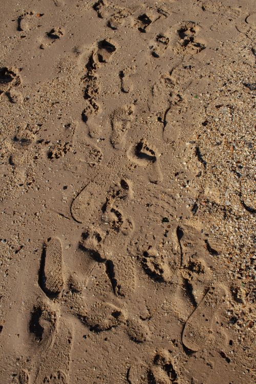 Free Footprints in sandy terrain with pebbles under bright daylight, hinting at outdoor exploration. Stock Photo