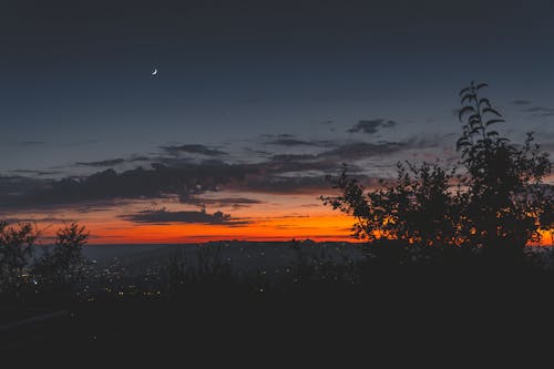 Fotobanka s bezplatnými fotkami na tému obloha, podsvietený, šero