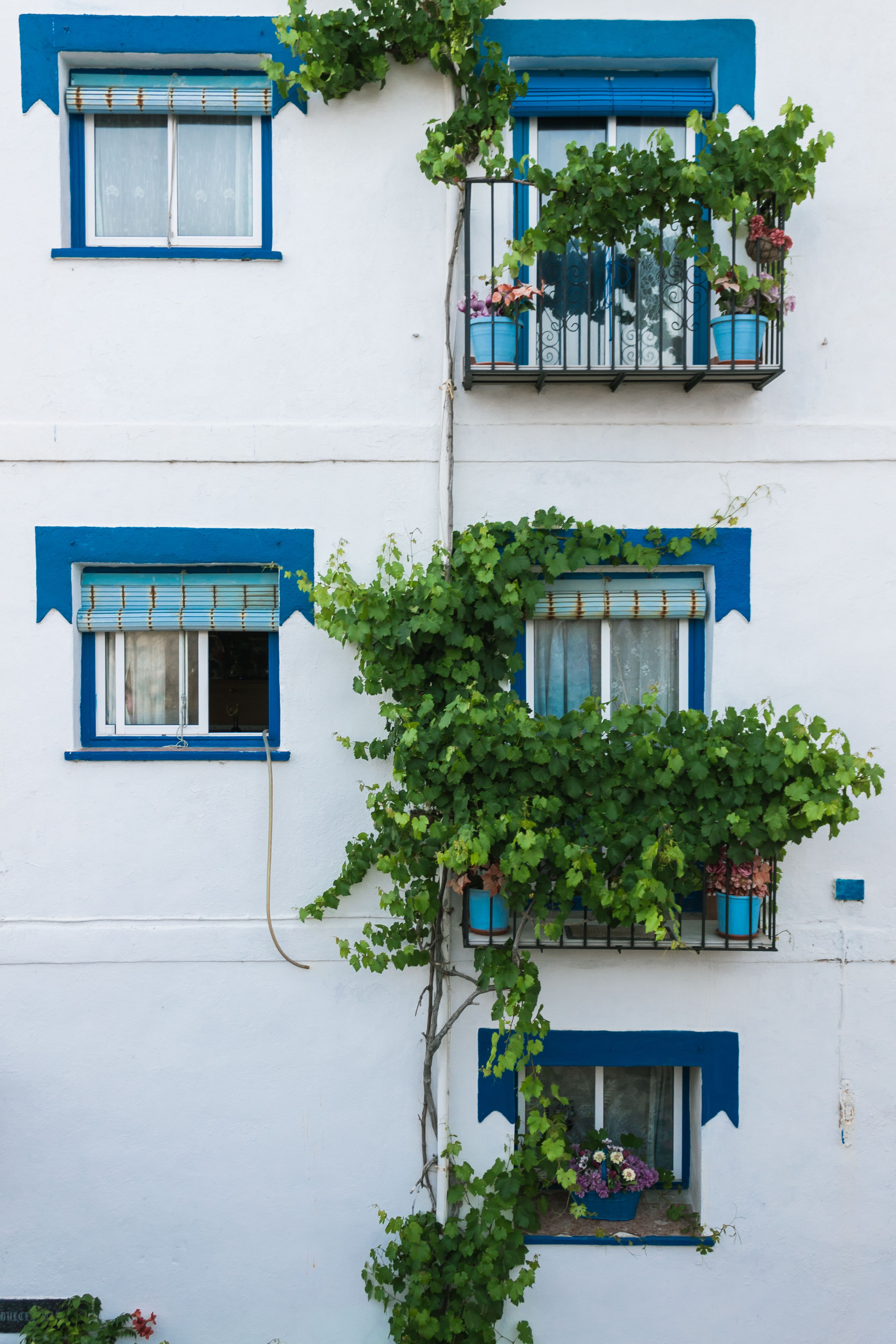 Aménagement d’un petit balcon : idées pratiques pour 2026 