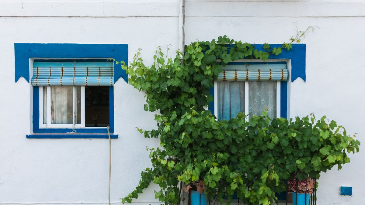 Aménagement d’un petit balcon : idées pratiques pour 2026