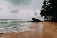 宁静的热带海滩上，棕榈树、海浪和多云的天空构成了一幅完美的宁静逃避景象