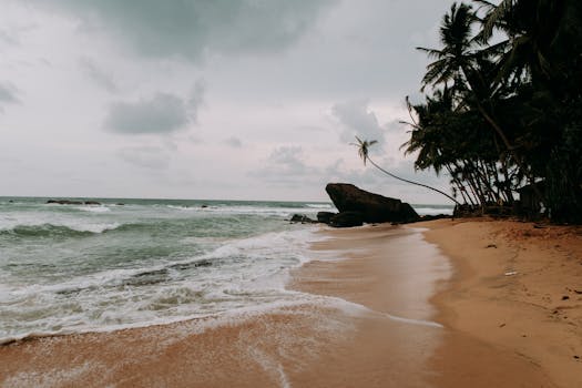 宁静的热带海滩上，棕榈树、海浪和多云的天空构成了一幅完美的宁静逃避景象