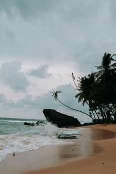 Serene beach scene featuring palms and rocky coastline under cloudy sky.