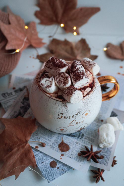 Free Warm mug of hot chocolate topped with marshmallows, surrounded by autumn leaves and cozy decor. Stock Photo