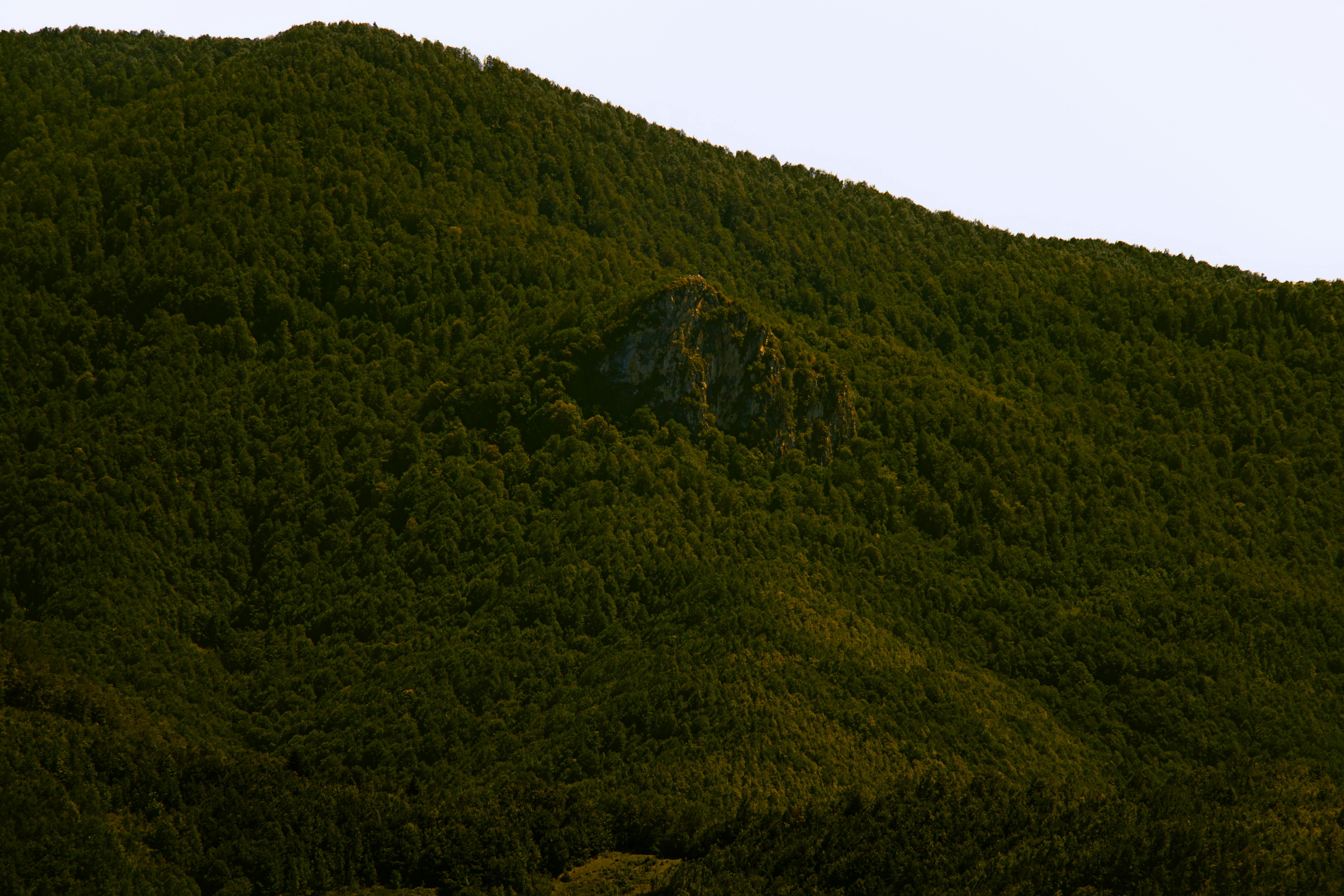 gratis Levendig groen bedekt de beboste heuvels van Kastamonu en toont de natuurlijke schoonheid van Turkije. Stockfoto