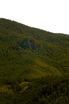 Lush green landscape of Horma Canyon in Kastamonu, Türkiye, showcasing natural beauty.