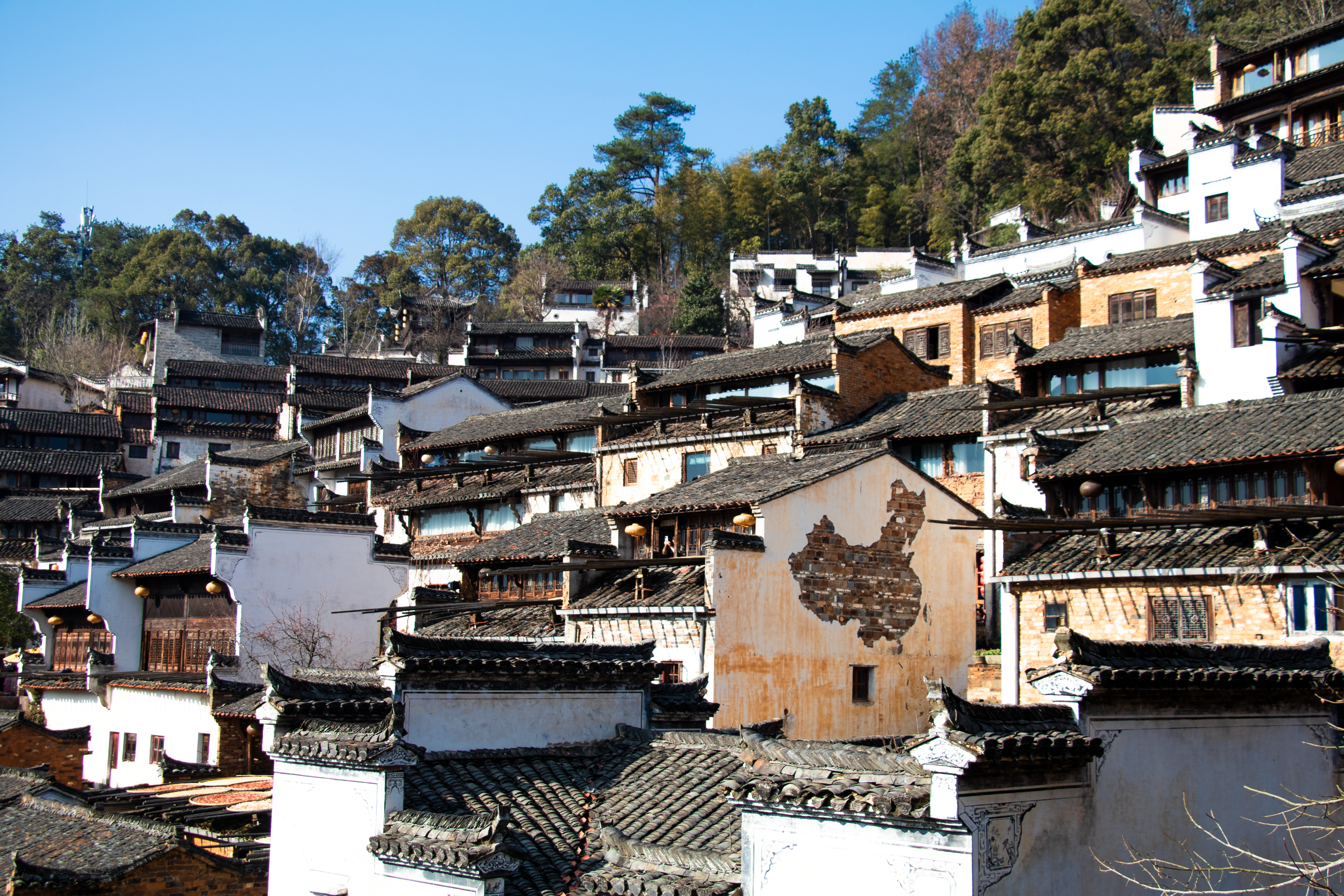 In China, Even Complaining About Property Management Can Be Political — Photo by 柳树 无 on Pexels