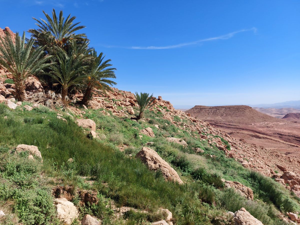 5 Day Yoga & Meditation Retreat for Women, in Morocco 2