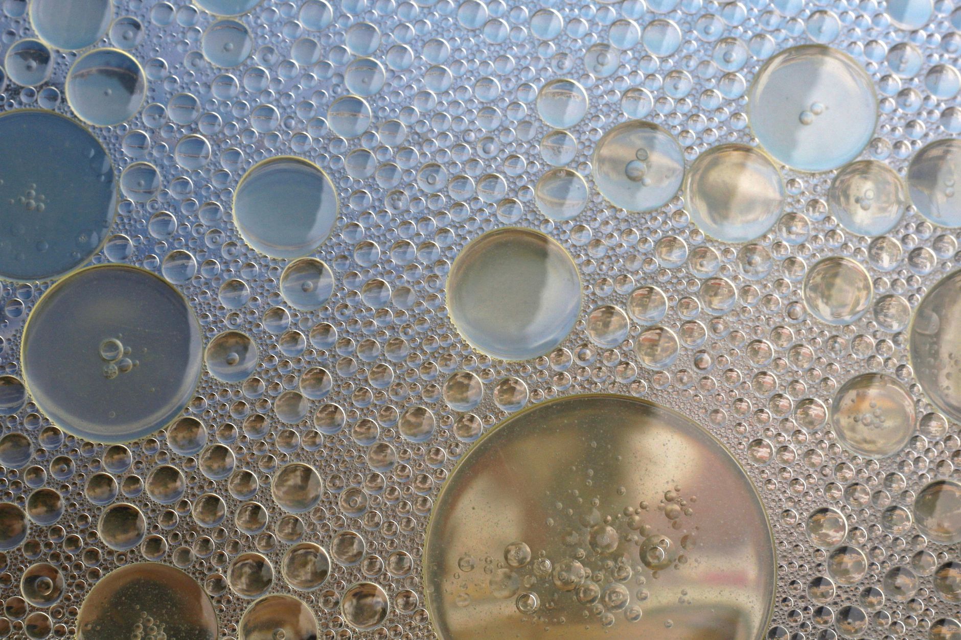Close-up of a frying pan with golden oil sizzling while cooking vegetables
