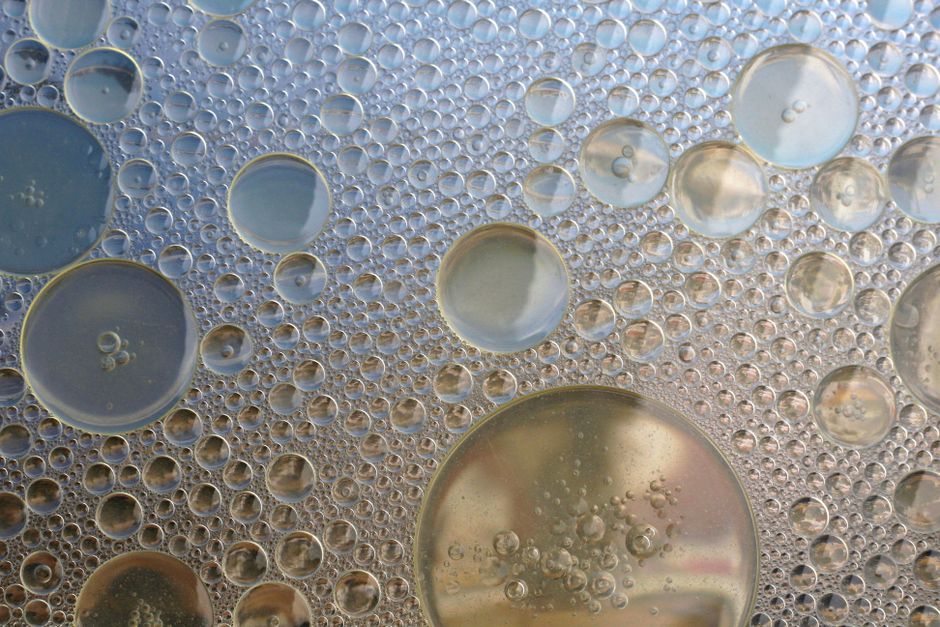 Captivating abstract image of oil and water bubbles forming intricate patterns.
