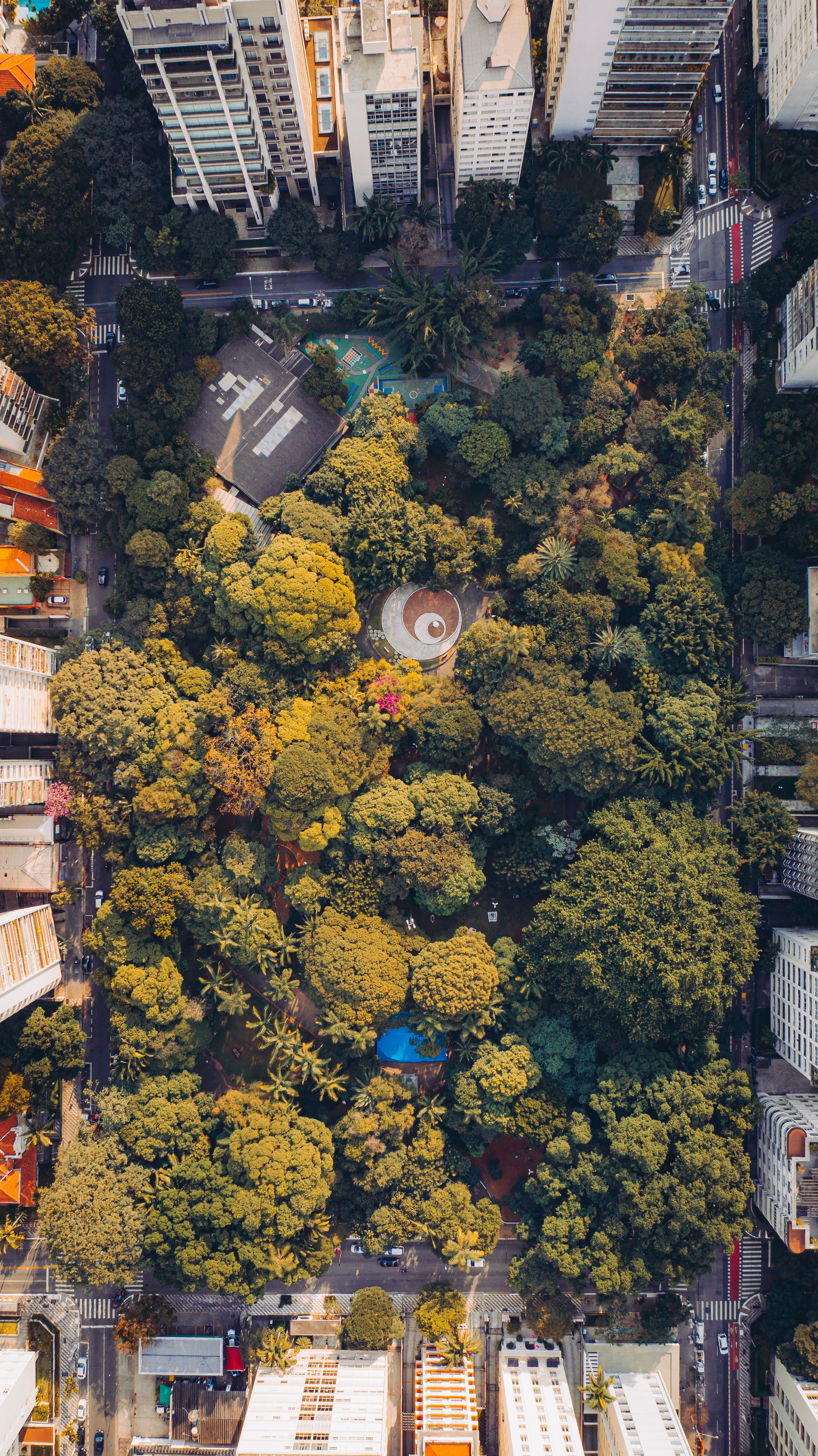 Aerial View of Urban Park Surrounded by Buildings · Free Stock Photo