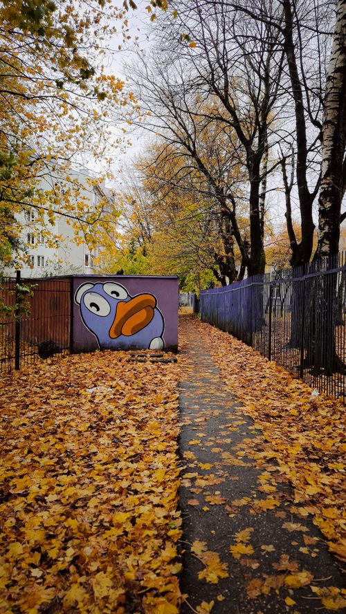 Free Colorful graffiti of a duck on a wall in a leaf-strewn autumn alleyway. Stock Photo