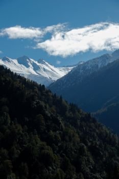 Dramatic view of snowy peaks above lush forested valleys under bright blue sky.
