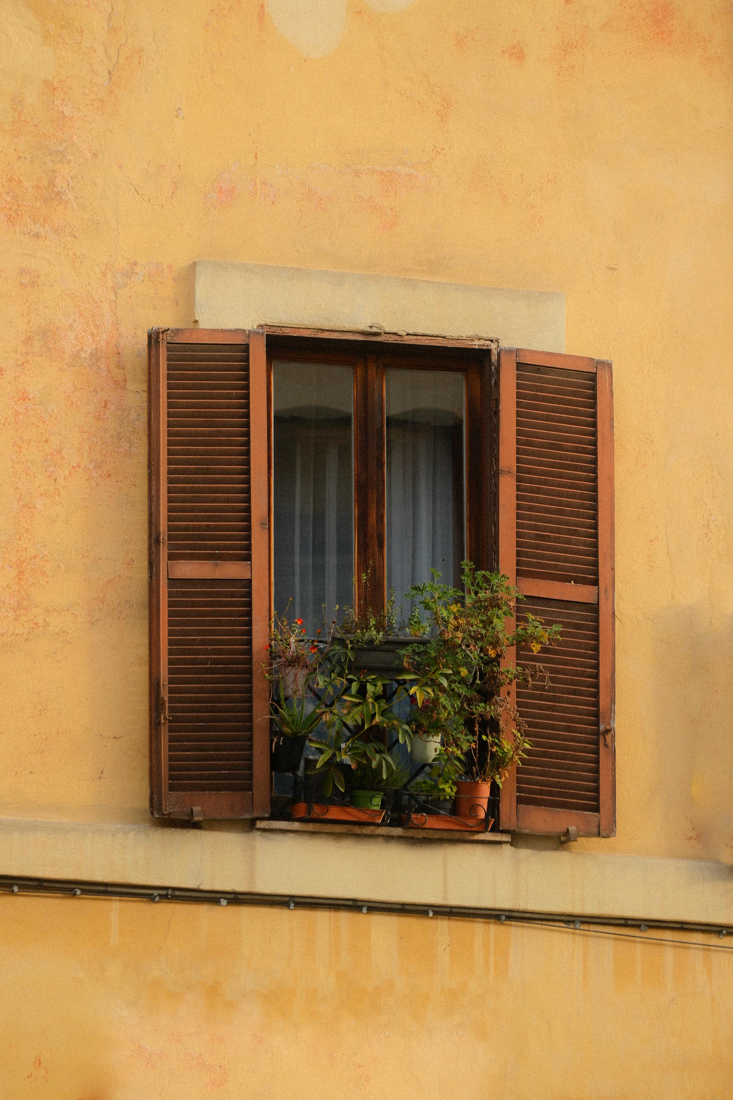Charming rustic window with wooden shutters and green plants in terracotta pots on yellow wall.