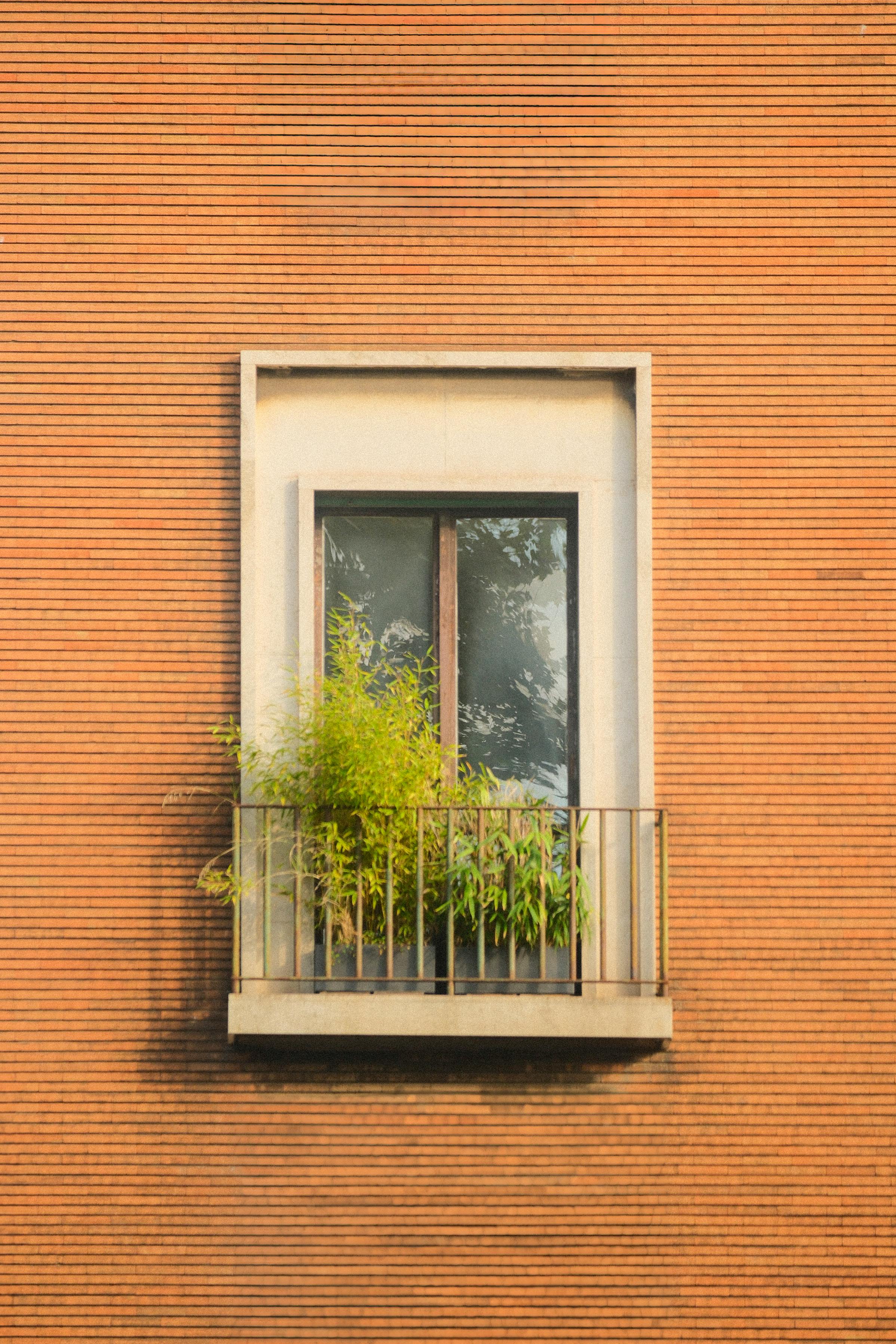 Window with plants against a textured brick facade, minimalist and modern.