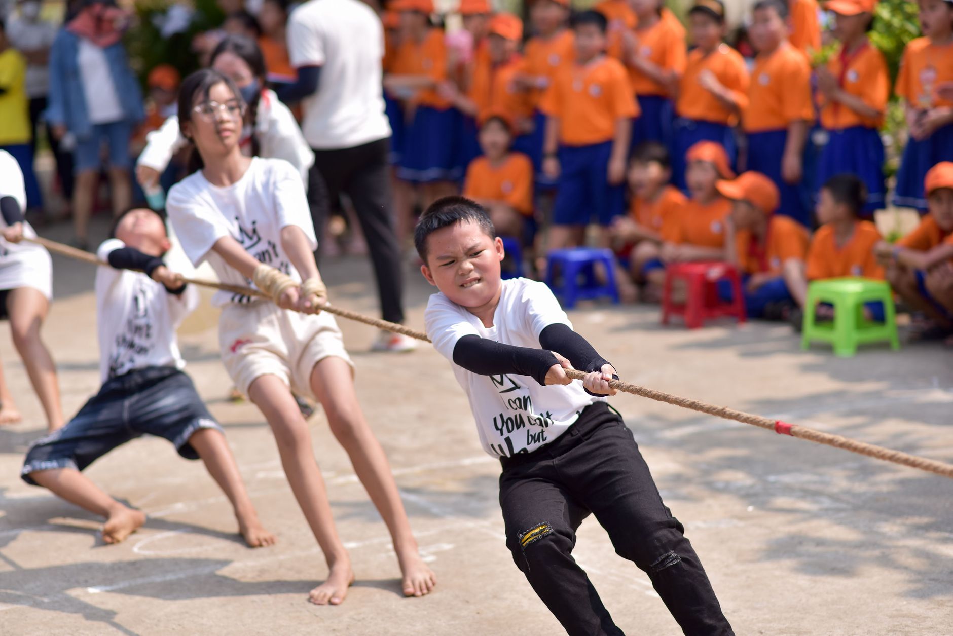 Multisports and Cinema