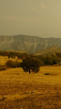 Scenic view of Tut's landscapes in Adıyaman, Türkiye under warm daylight.