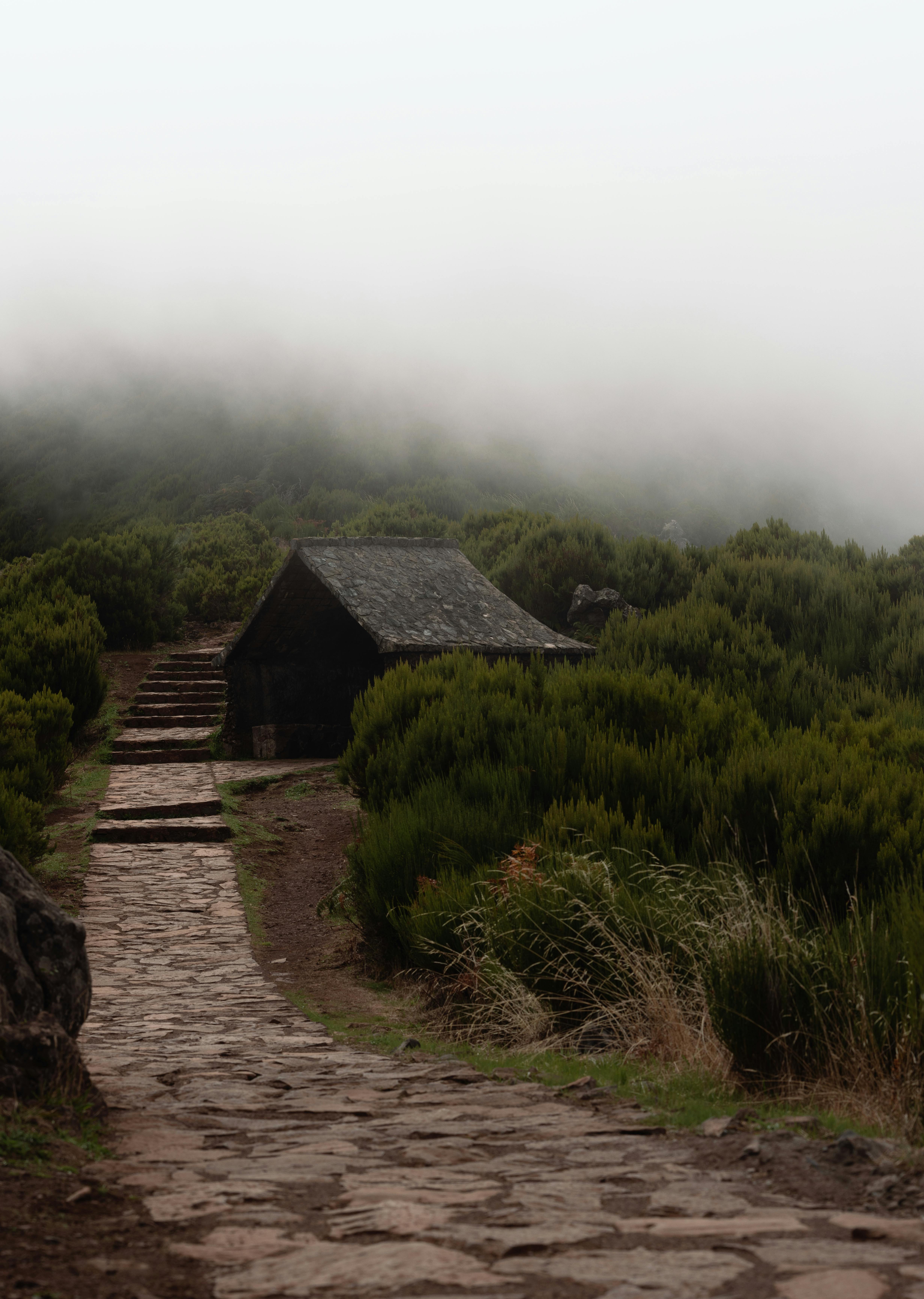Foggy pathway leading to a wooden hut amid lush greenery in Madeira, Portugal.