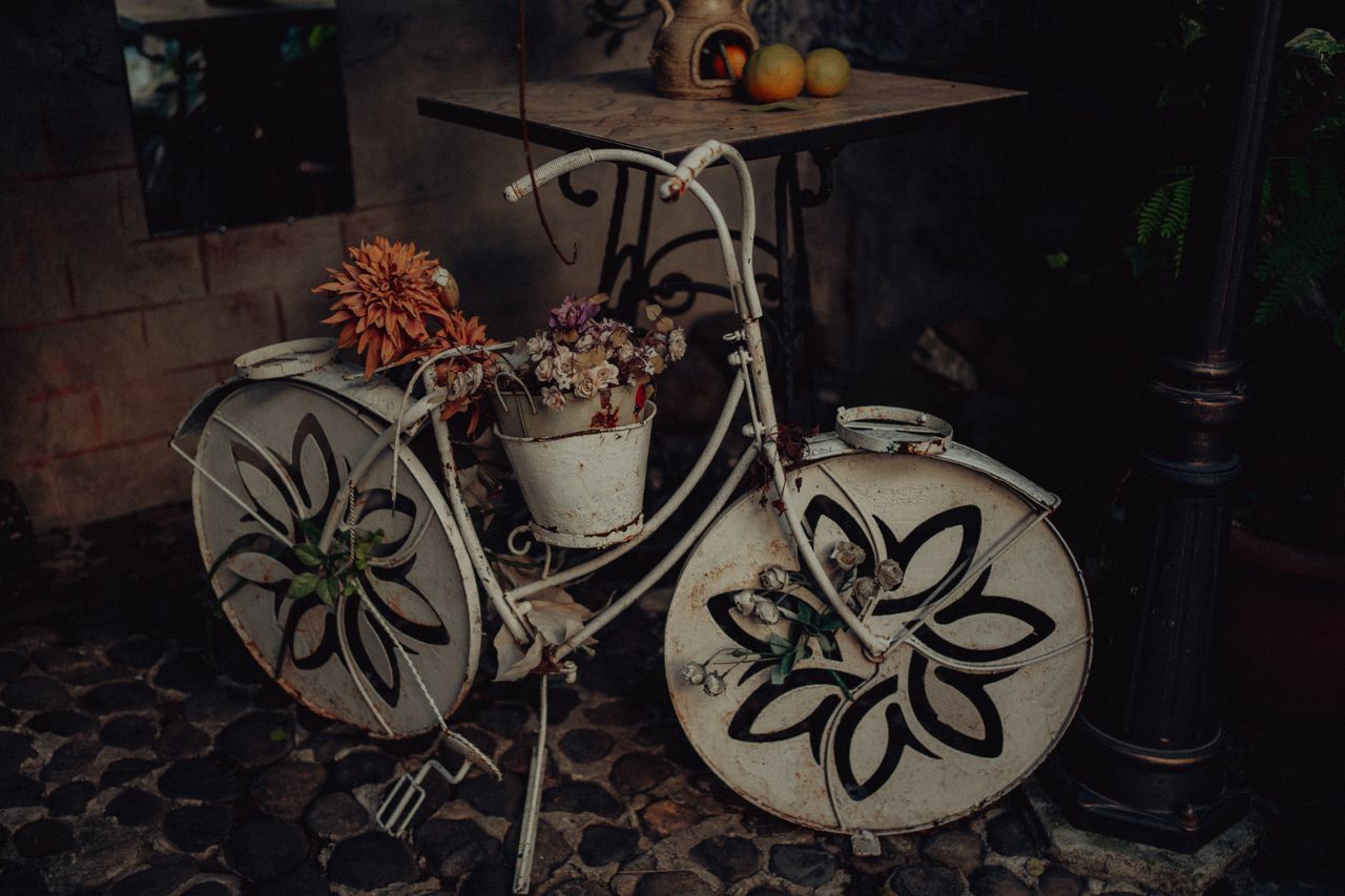 a decorative vintage bicycle planter filled with vibrant flowers captu