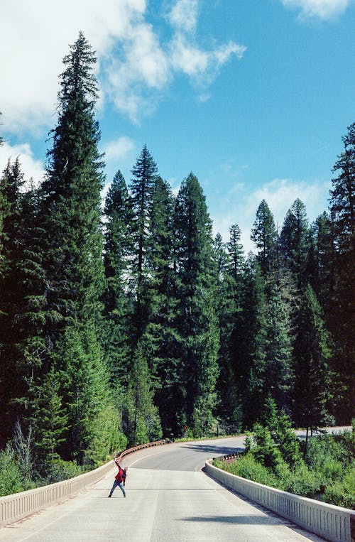 Photo of Person Standing on Road