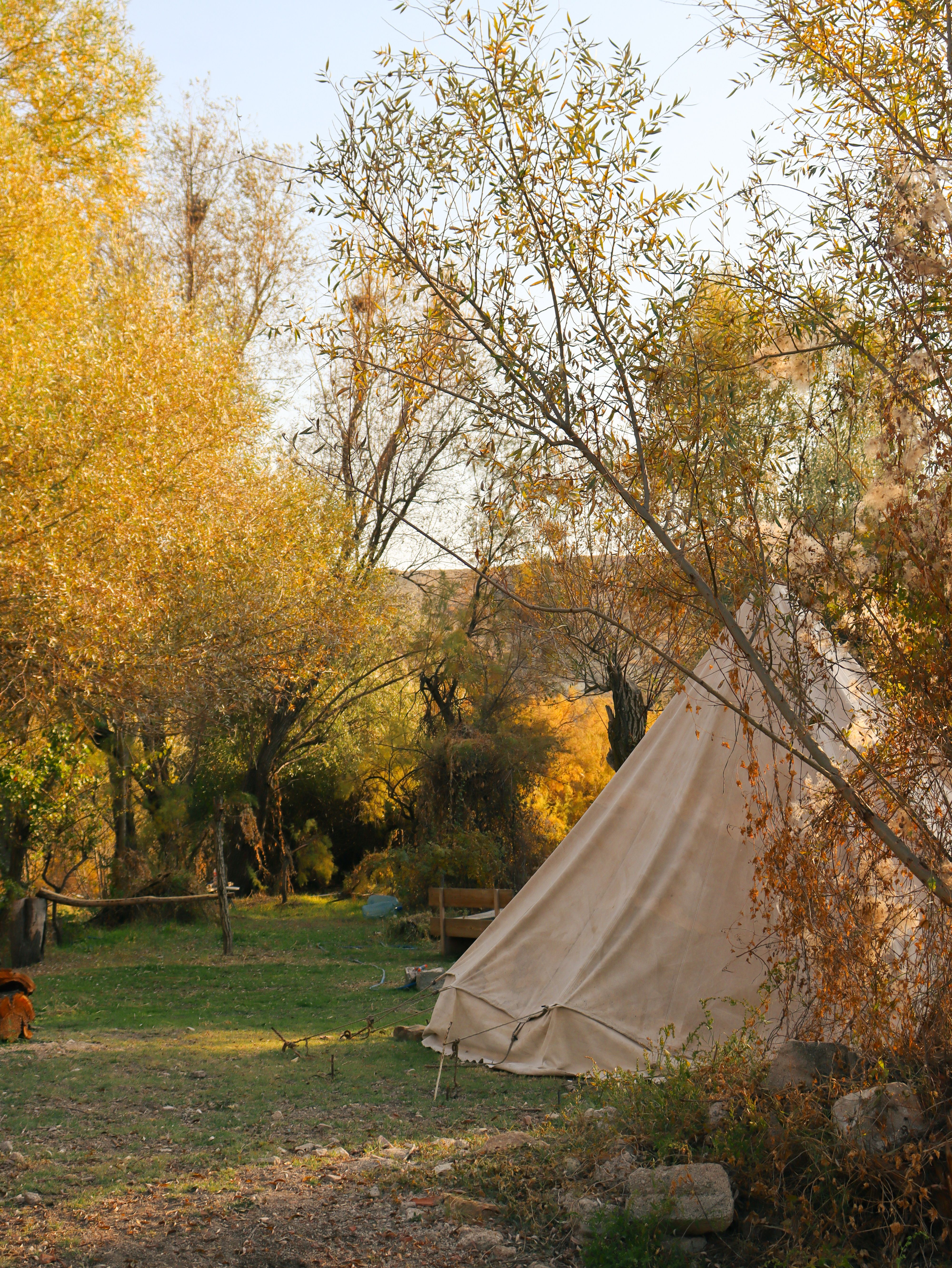 Fotomural Camping tranquilo de otoño con una tienda rodeada de follaje colorido.