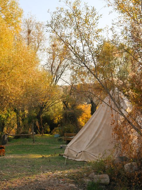 Fotomural Camping tranquilo de otoño con una tienda rodeada de follaje colorido.