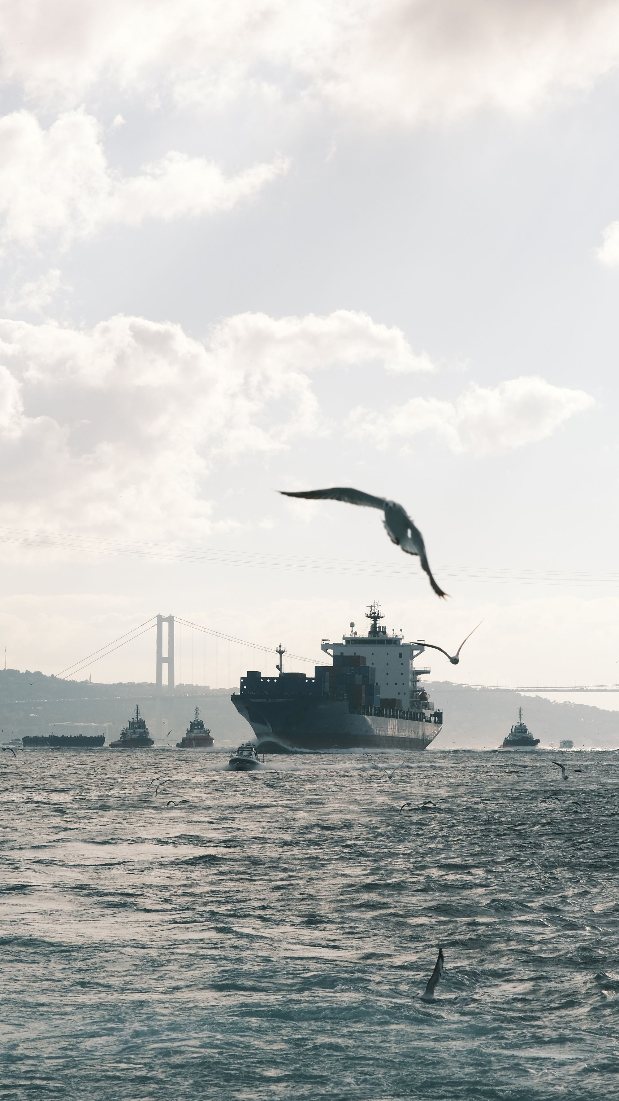 Global Shipping Chokepoints: 5 Straits That Could Crash the Economy