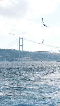 Scenic view of Bosphorus Strait with seagulls and bridge under a bright sky in Istanbul, Turkey.