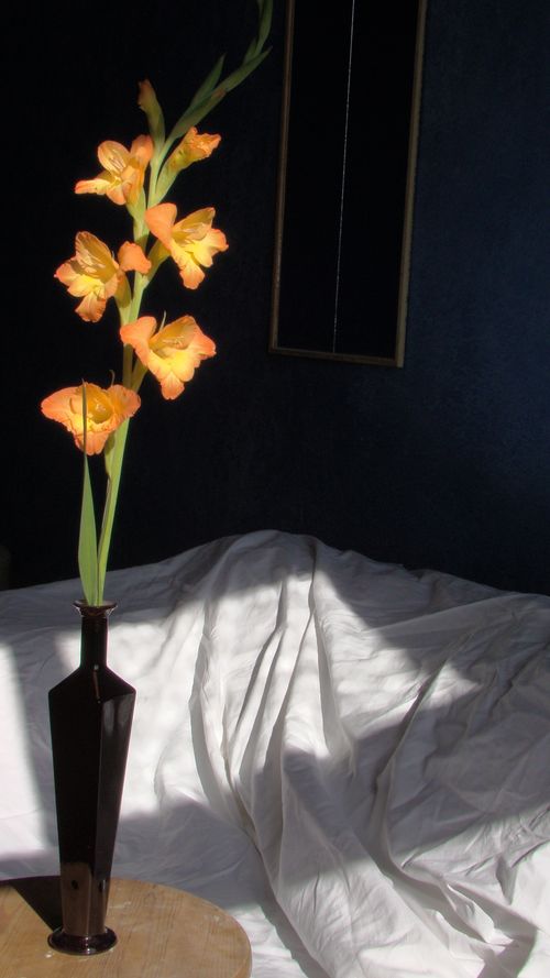 Free Orange gladiolus in sleek vase with sunlight casting on a bed, creating a tranquil atmosphere. Stock Photo