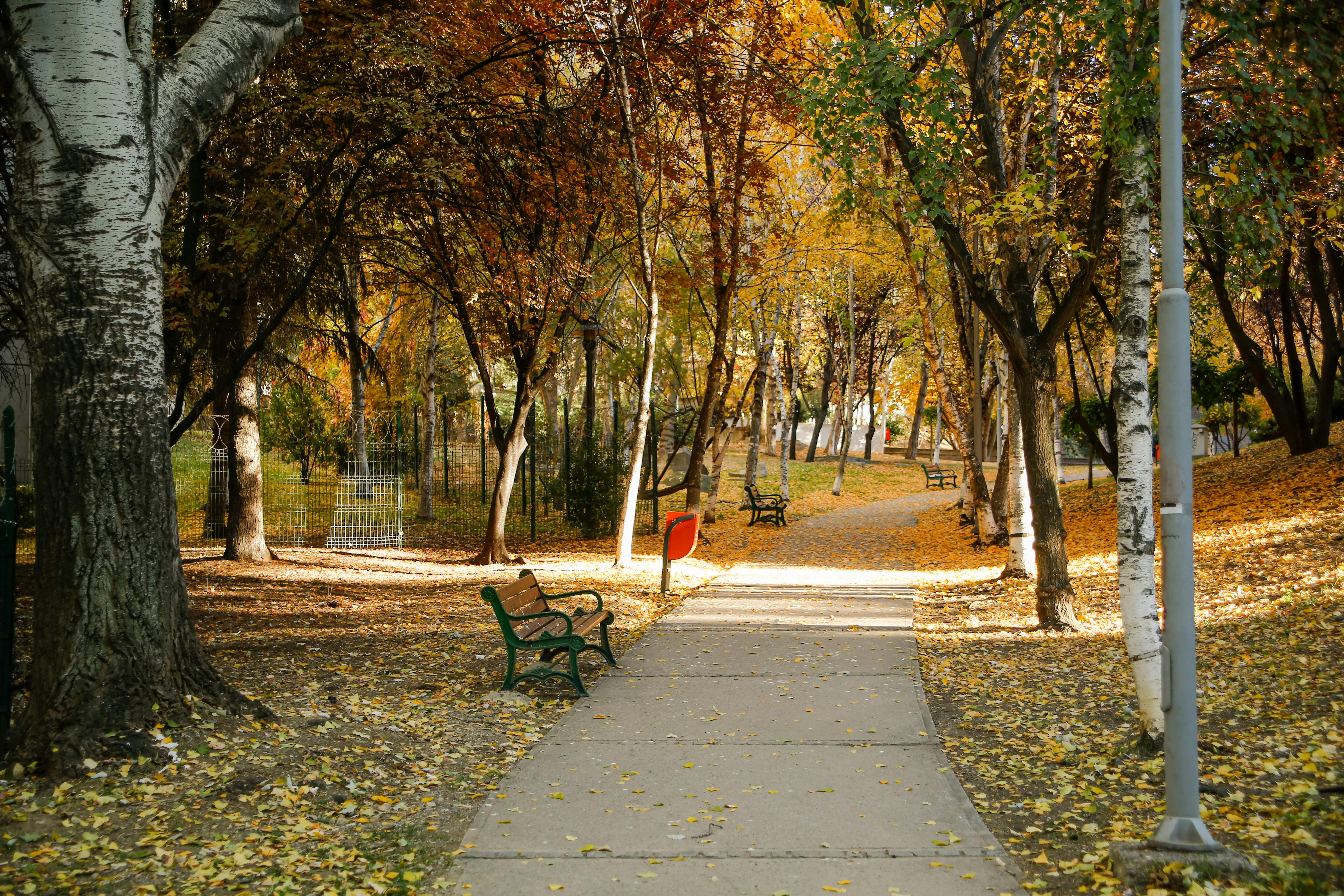 Sampling the Seasonal Offerings