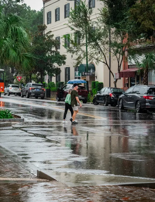 Where to Stay in Savannah: A Local's Guide to the Best Neighborhoods
