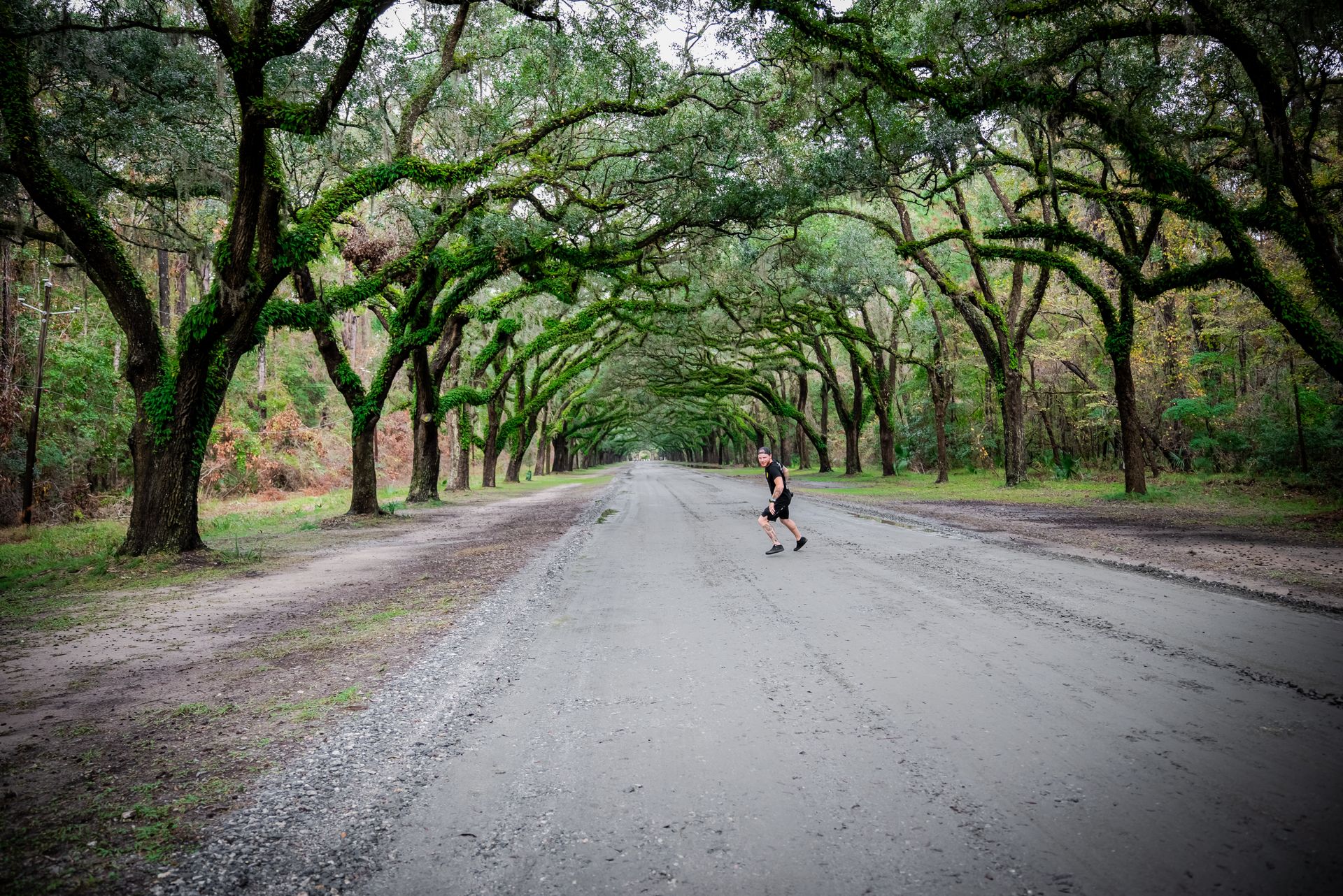 Savannah