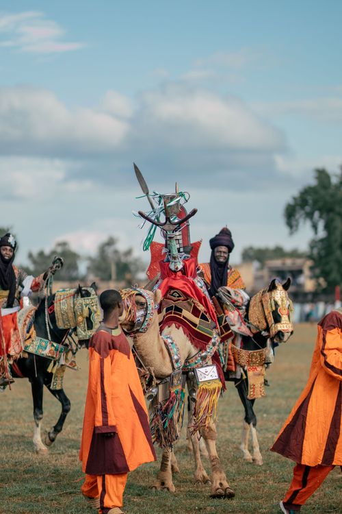 Free Vibrant traditional parade featuring adorned horses and participants in colorful attire outdoors. Stock Photo