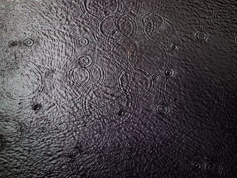 Gentle ripples on a water surface caused by raindrops, creating a serene and calming effect.