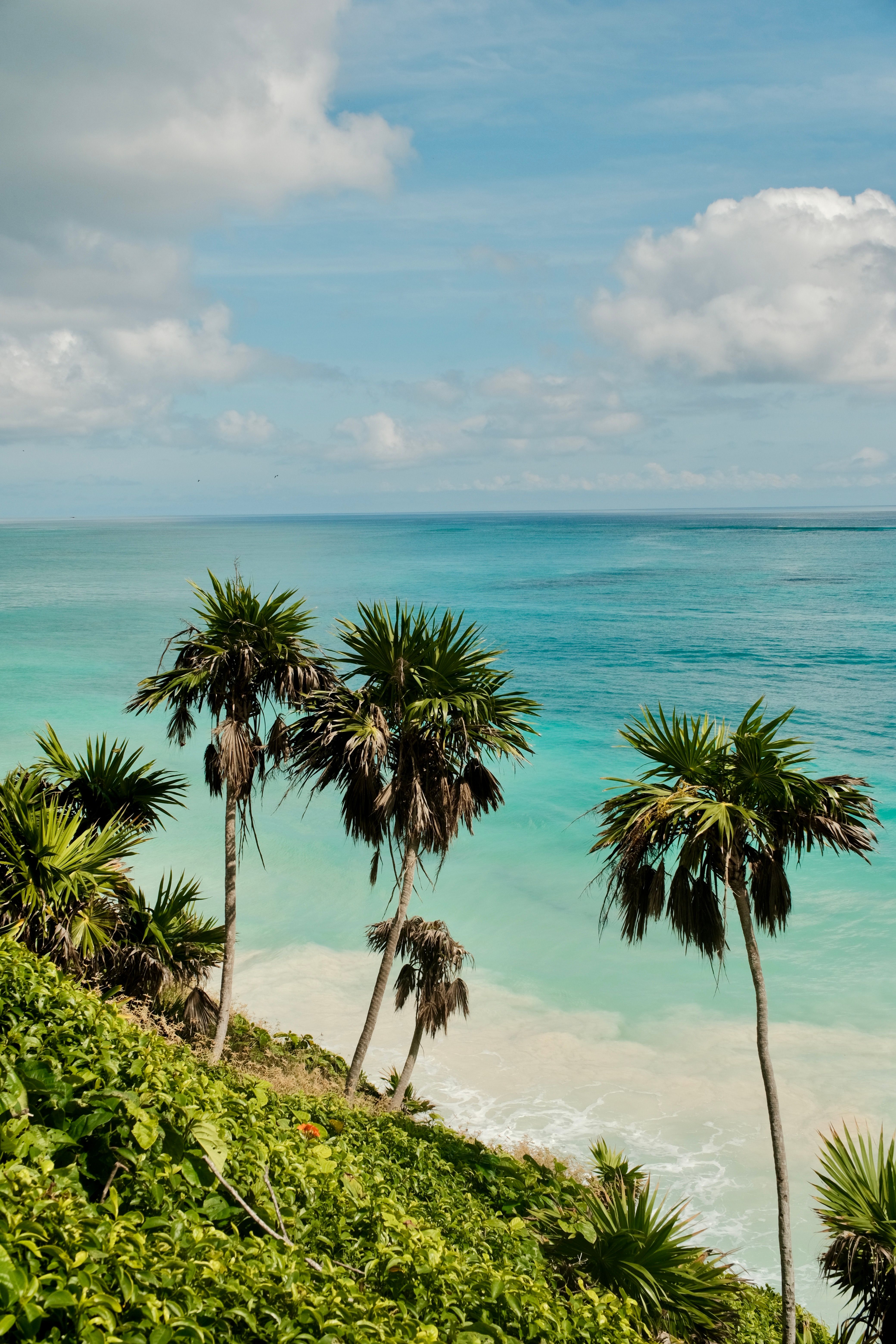 Plage caraïbe bord&eacute;e de palmiers et d&rsquo;eau turquoise atteinte apr&egrave;s une route c&ocirc;ti&egrave;re