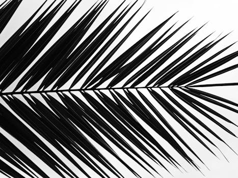 Striking black and white silhouette of a palm leaf against a white background.