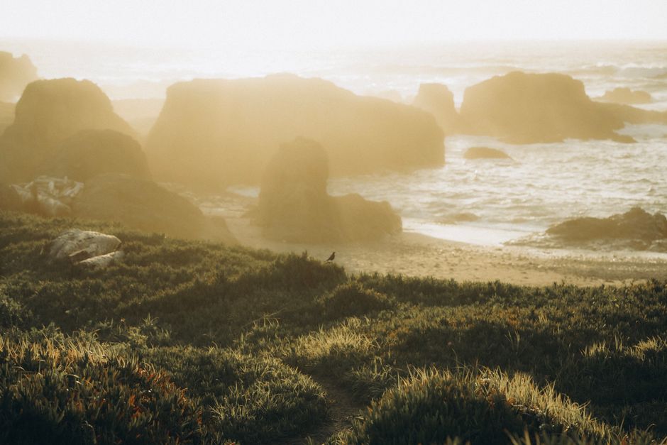 Muted yellow Oregon coastline with soft sunlight - high achiever mental health Oregon Muted yellow Oregon coastline with soft sunlight - high achiever mental health Oregon